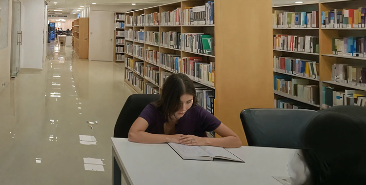 Library - Image 1