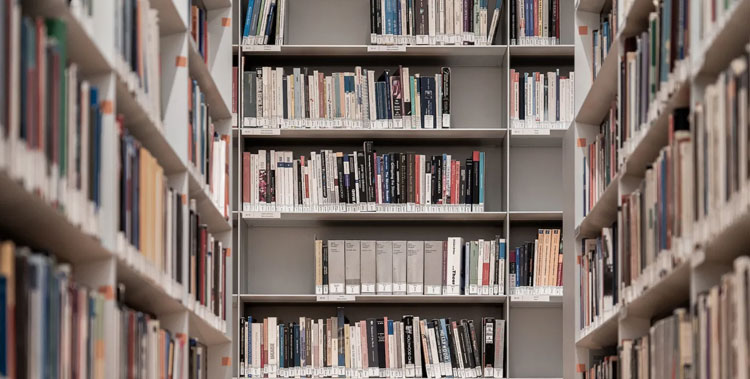 Library - Image 1