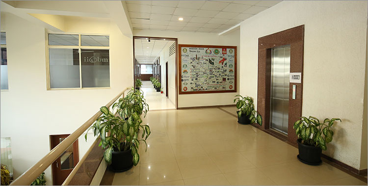 IIEBM - INDUS BUSINESS SCHOOL PUNE